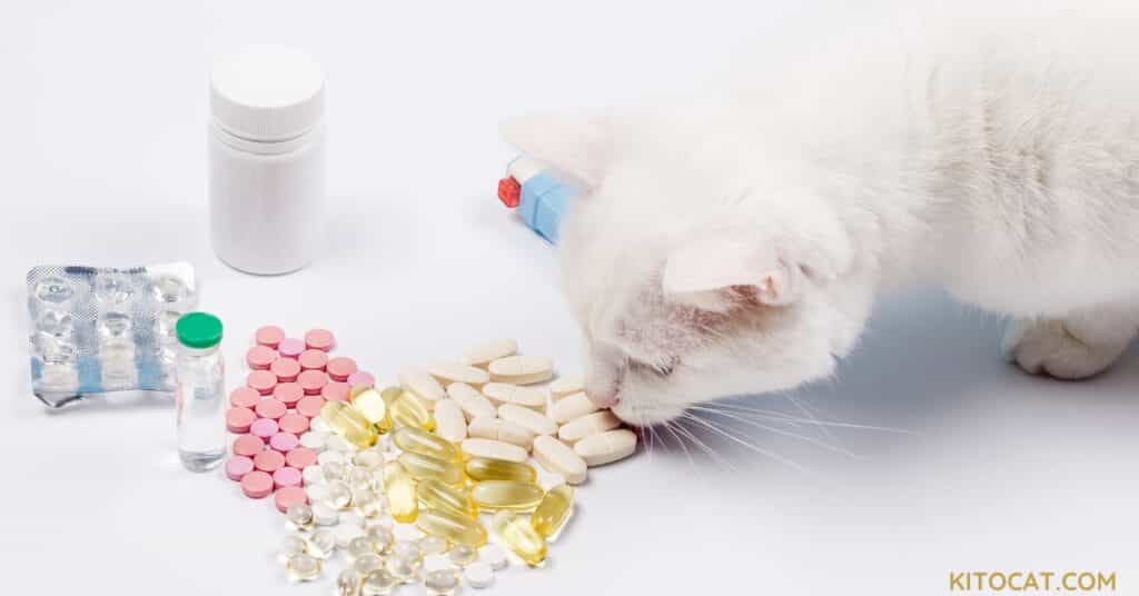 Cat supplements